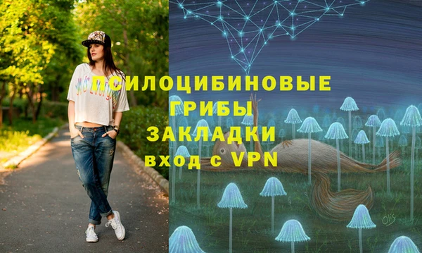 прущие грибы Армянск