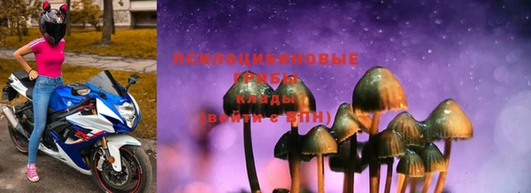 прущие грибы Армянск