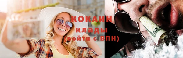 прущие грибы Армянск