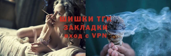 прущие грибы Армянск