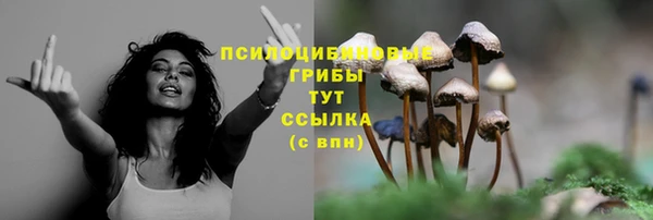 прущая мука Арсеньев