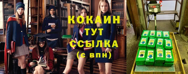 шишки Вуктыл