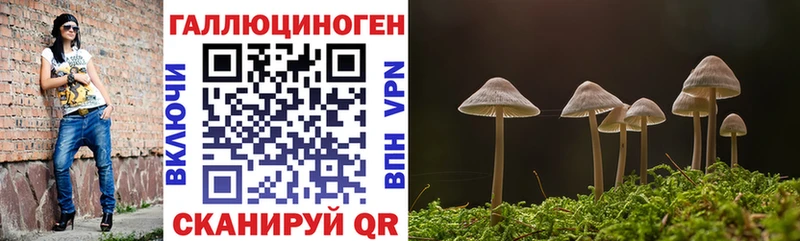 ссылка на мегу tor  Кропоткин  Галлюциногенные грибы GOLDEN TEACHER 
