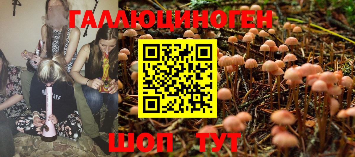 Галлюциногенные грибы MAGIC MUSHROOMS  Вход с VPN  Кропоткин  Галлюциногенные грибы прущие грибы 