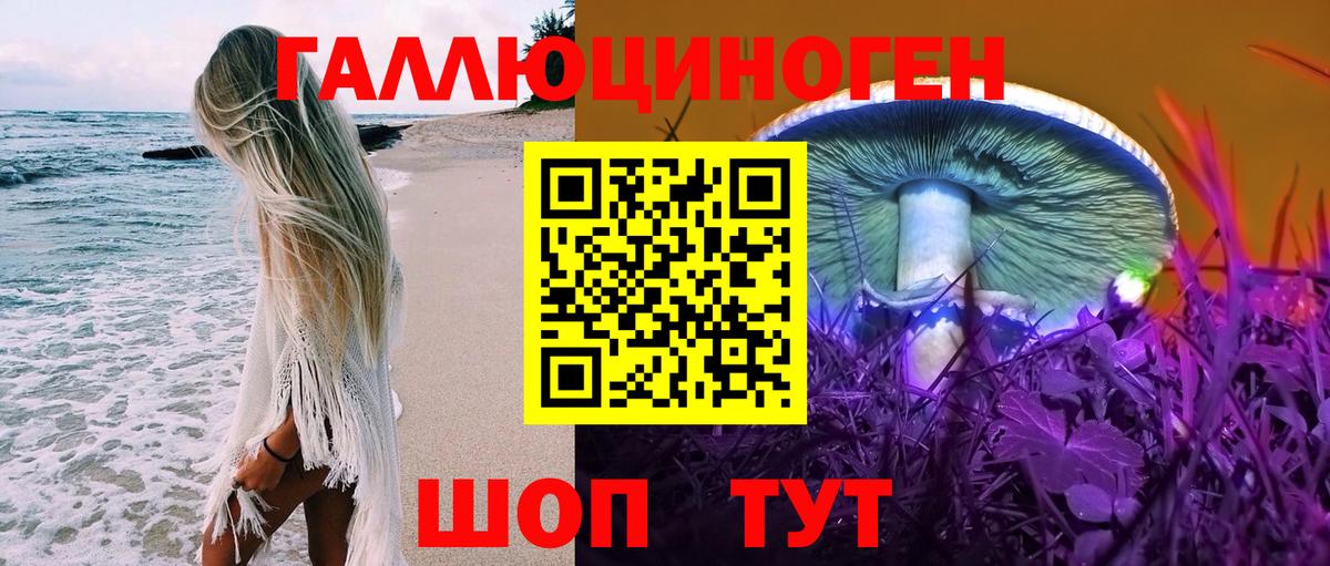 Галлюциногенные грибы Cubensis Кропоткин